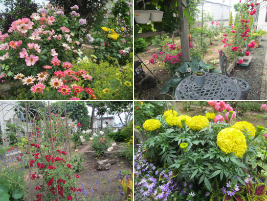 ガーデニング見学会