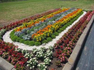 花壇コンクール　一般花壇の部